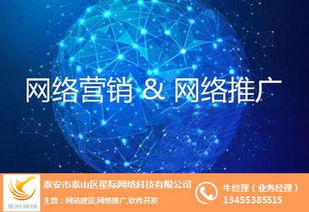 泰安百家號(hào)市場(chǎng)怎么樣 泰安百家號(hào) 星際網(wǎng)絡(luò) 查看