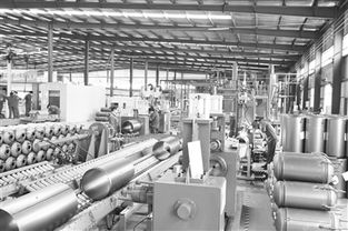 創新驅動，綠色未來 探訪邯鄲工業園區飛翔新能源科技股份有限公司