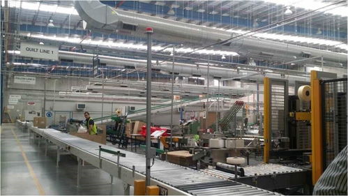 羊毛變金子 探訪澳洲最神秘工廠，揭秘世界頂尖羊毛加工技術(shù)轉(zhuǎn)讓之路